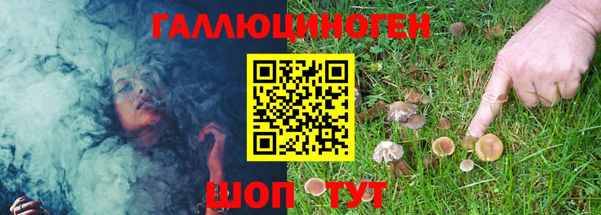Галлюциногенные грибы мицелий Новошахтинск
