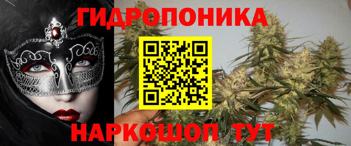 Бошки Шишки семена Новошахтинск